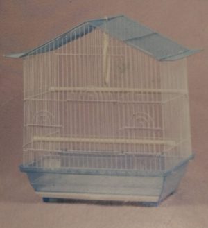 small peak roof bird cage