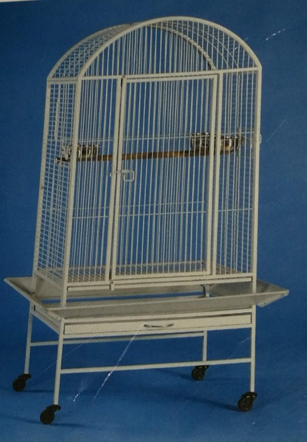 medium round roof bird cage
